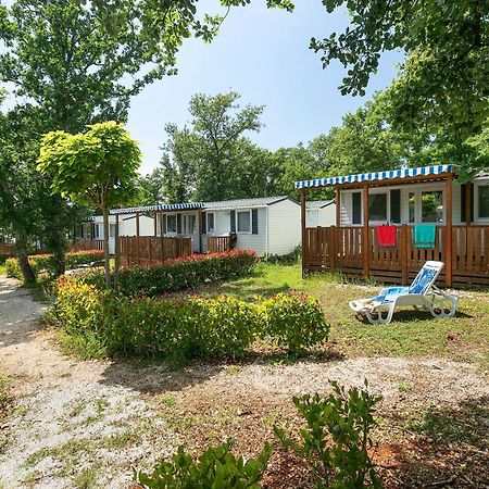 Albatross Mobile Homes On Solaris Camping Fkk-Naturist Poreč Eksteriør bilde